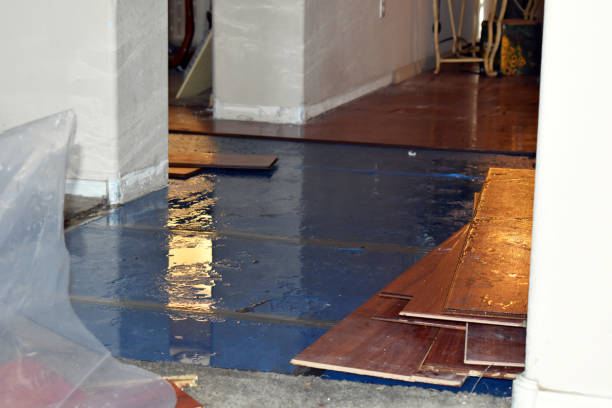 Professional Basement Flood Cleanup technician working in Palmdale, PA